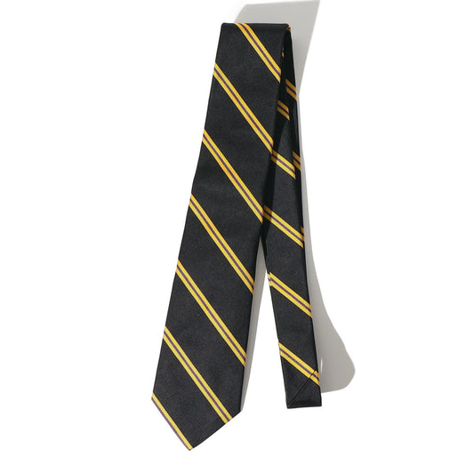 Southwick TIE「EAST ANGLIAN REGIMENT」